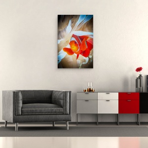 Tablou canvas - Pestele Clovn Aparandu-Si Anemona Alba, Ocean, Papua Noua Guinee, 40 x 60 cm - Img 2