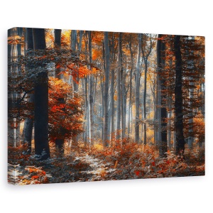 Tablou canvas - Pictand Padurea, 60 x 90 cm