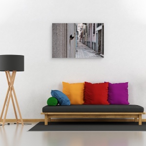 Tablou canvas - Pisica Din Strada, Arunca O Privire, Animal, Pet, Alee, 80 x 120 cm - Img 2