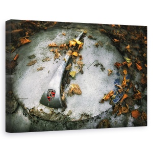Tablou canvas - Porsche, Natura Moarta, Logo, Floare, 40 x 60 cm