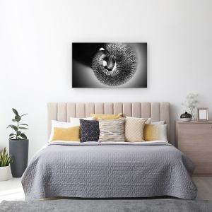 Tablou canvas - Portbagaj, Elefant, Alb-Negru, Cerc, Spiral, 50 x 80 cm - Img 3