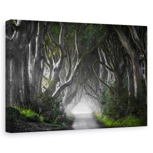 Tablou canvas - Poteci intunecate, Peisaj, Copaci, Ceata, Fantezie, 60 x 90 cm
