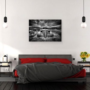 Tablou canvas - Prea Batran Pentru A Conduce, Peisaj, Alb-Negru, Masina, Camion, Vechi, 40 x 60 cm - Img 3