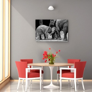 Tablou canvas - Prieteni pe viata, Nature, Elefant, Prieteni, intalnire, 80 x 120 cm - Img 4