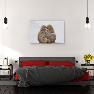 Tablou canvas - Prieteni Pentru Totdeauna, Imbratisare, Maimuta, 60 x 90 cm - Img 3