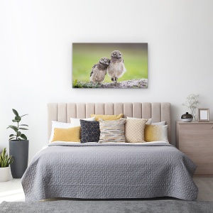 Tablou canvas - Prieteni, Salbatic, Dragut, Frati, Bufnita, 50 x 80 cm - Img 3