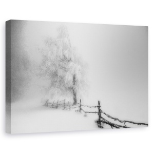 Tablou canvas - Prins, Peisaj, Ceata, Copac, Gard, 80 x 120 cm