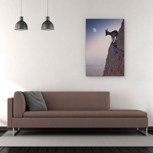 Tablou Canvas - Printr-Un Buchet De Flori, Fauna Salbatica, Ibex, Cer, Capra De Munte, Margine, 60 x 90 cm - Img 2