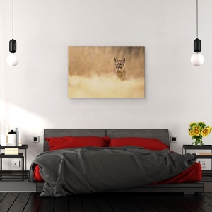 Tablou canvas - Puma, Fauna, Salbatic, Natura, Animal, Felina, 40 x 60 cm - Img 3