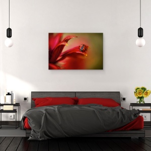 Tablou canvas - Pur si Simplu Rosu, Rosu, Gargarita, Pasiune, Floare, 80 x 120 cm - Img 3