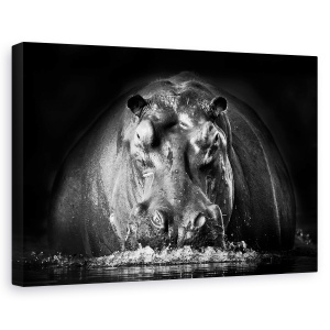 Tablou canvas - PUTERE, Nature, Hipopotam, Safari, Rau, 80 x 120 cm