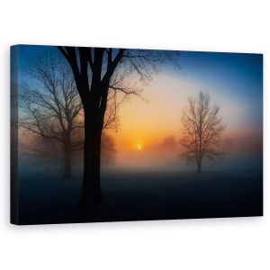 Tablou canvas - Rasarit Cetos De Soare, Dimineata, Rasarit De Soare, Ceata, Copaci, Soare, 50 x 80 cm