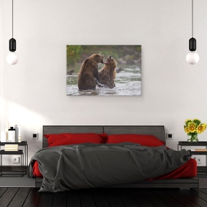 Tablou canvas - Razboiul Ursilor, Fauna, Salbatic, Natura, Animale, Ursi Bruni, Urs Brun, 60 x 90 cm - Img 3