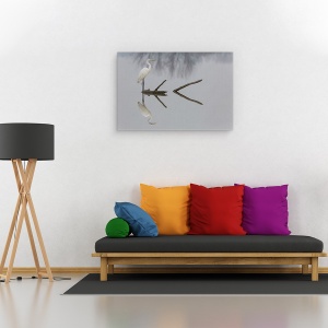 Tablou canvas - Reflectii, Heron, Pasare, Alb, Rau, Reflectie, 40 x 60 cm - Img 2