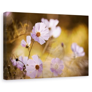Tablou canvas - Regele Leu, Flori, Delicat, Vara, Gradina, 60 x 90 cm