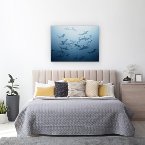 Tablou canvas - Roiesc, Rechini, Sub Apa, Rechinul Ciocan, 50 x 70 cm - Img 3