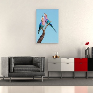 Tablou canvas - Rolele De Flirt, Role, Pereche, Cuplu, Pasare, 60 x 90 cm - Img 2