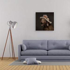 Tablou canvas - Roos, Caine, Palarie, Caini, Animale, 90 x 90 cm - Img 2