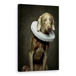 Tablou canvas - Roos, Caine, Studio, Pet, Animal, 60 x 90 cm