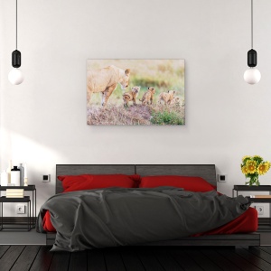 Tablou canvas - Sa Mergem, Mama, Natura, Animal, Salbatic, Leu, 60 x 90 cm - Img 3