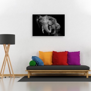 Tablou canvas - Salbatic, Elefant, Salbatic, Kenya, Alb-Negru, Safari, 80 x 120 cm - Img 2