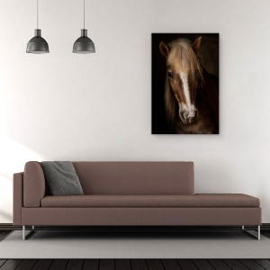 Tablou Canvas - Sapience, Haflinger, Cal, Ferma, Montpellier, Animale, 80 x 120 cm - Img 2