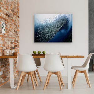 Tablou Canvas - Sardine Tornado, Peste, Marina, 50 x 70 cm - Img 4