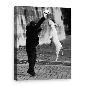 Tablou canvas - Sarind Cu Prietenul Meu, Caine, Pet, Palarie, Om, 75 x 100 cm