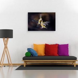 Tablou canvas - Sarut Din Zbor, Natura, Pasare, Zbor, Sarut, 60 x 90 cm - Img 2