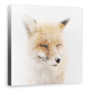 Tablou canvas - Satisfacut, Vulpe, Zapada, Fata, Iarna, Animal, 60 x 60 cm