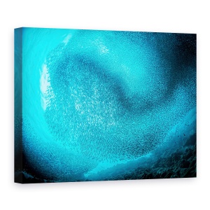 Tablou canvas - Scolarizare Sardine, Sub Apa, Peste, Sardine, Albastru, Ocean, 75 x 100 cm