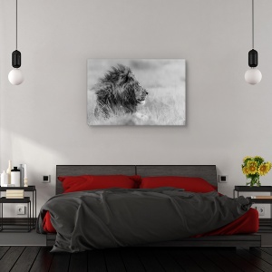 Tablou canvas - Singuratatea regelui, Nature, Animale Salbatice, Pradator, Puternic, 80 x 120 cm - Img 3