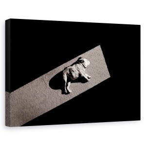 Tablou canvas - Solar Nealimentat, Catelus, Lumina, Umbre, Bulldog, Pet, 60 x 90 cm