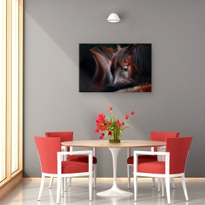 Tablou canvas - Somn Ghemuit, Cai, Dormind, Pasiune, 40 x 60 cm - Img 4