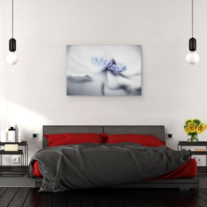 Tablou canvas - Spiritul Anemone, Anemona, Vara, Floare, Planta, 60 x 90 cm - Img 3