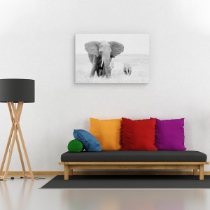 Tablou canvas - Stai Departe, Elefant, Salbatic, Natura, Animal, Dragut, 60 x 90 cm - Img 2