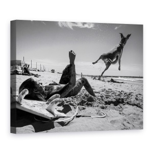 Tablou canvas - Super Caine, Pet, Animal, 60 x 80 cm