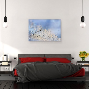 Tablou canvas - Tarare, Macro, Pana, Pene, Seminte, Seminte, 40 x 60 cm - Img 3
