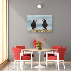 Tablou canvas - Te Iubesc - Si Eu Te Iubesc, Islanda, Pasari, Natura, Puffin, Puffin, 60 x 90 cm - Img 4