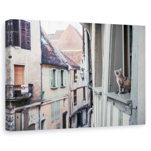 Tablou canvas - Teritoriu, Pisica, Pet, Animal, Fereastra, Amuzant, 60 x 90 cm