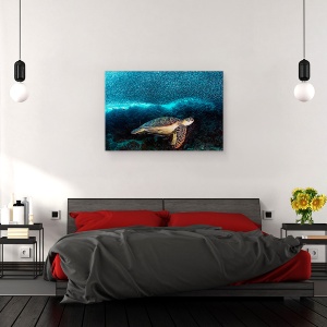 Tablou canvas - Testoasa Si Sardine, Scoala, Sub Apa, Scufundari, 40 x 60 cm - Img 3