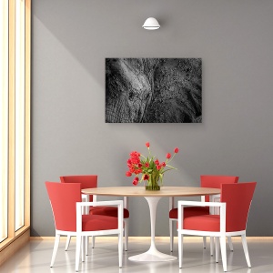 Tablou canvas - Textura Naturala, Elefant, Ochi, Tulbure, Alb-Negru, Vechi, 80 x 120 cm - Img 4