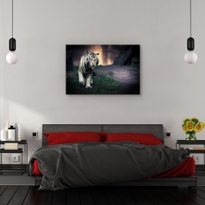 Tablou canvas - Tigru alb, Orase si arhitectura, Zoo, 60 x 90 cm - Img 3