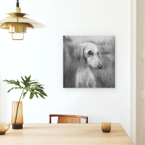 Tablou canvas - Toamna, Caine, Pet, Animal, Alb-Negru, Picaturi, 60 x 60 cm - Img 4