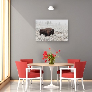 Tablou canvas - Toamna Tarzie In Yellowstone, Bizon, Parc National, Salbatic, 80 x 120 cm - Img 4