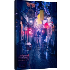Tablou canvas - Tokyo, Asiatic, Japonia, Noapte, Lampi, Lampa, 40 x 60 cm