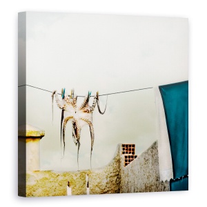 Tablou canvas - Tote Hose, Caracatita, Abstract, Rufe, Uscat, 90 x 90 cm