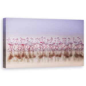 Tablou canvas - Tovarasi In Culori, Kuweit, Panorama, Flamingo, Turma, 50 x 100 cm