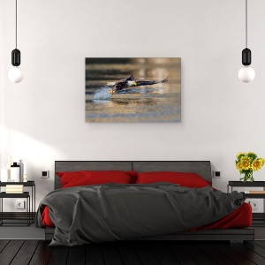Tablou canvas - Trageti, Vultur, Pasare, Salbatic, Prinde, Peste, 60 x 90 cm - Img 3