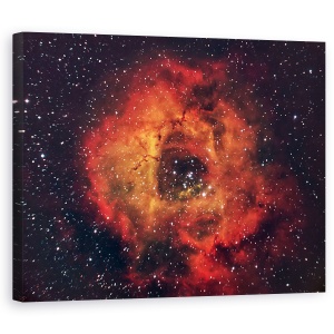Tablou canvas - Trandafirul Din Cer, Floare, Foc, Flacara, 60 x 75 cm